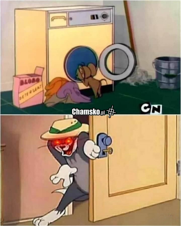 Tom i Jerry dla dorosłych