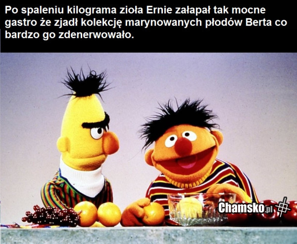 Gastro