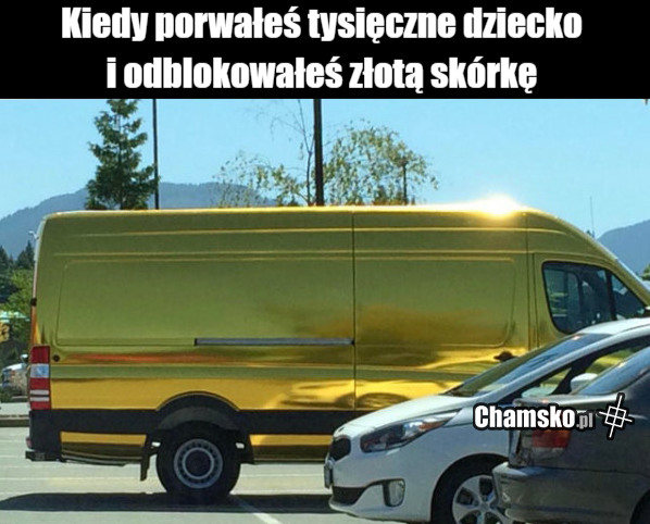 Złoty skin