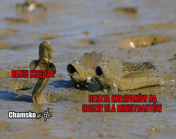 Obóz