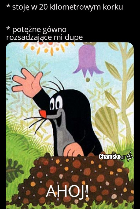 Krecik