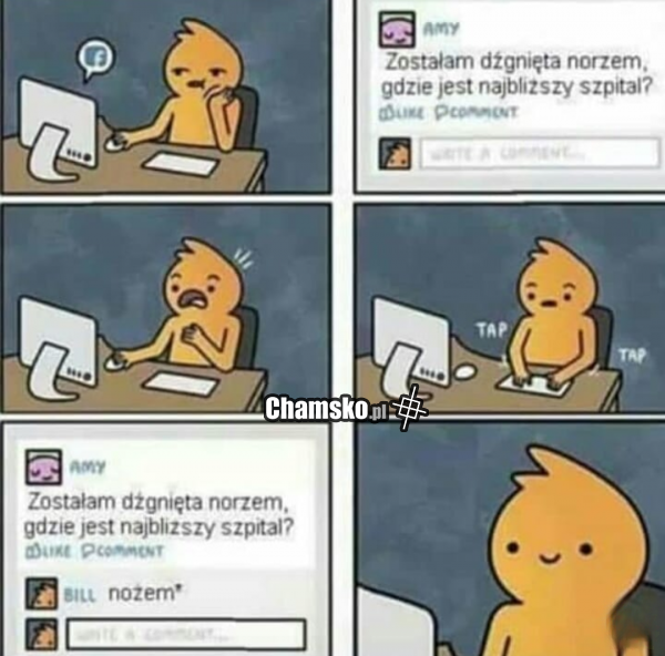 Pomoc w internecie