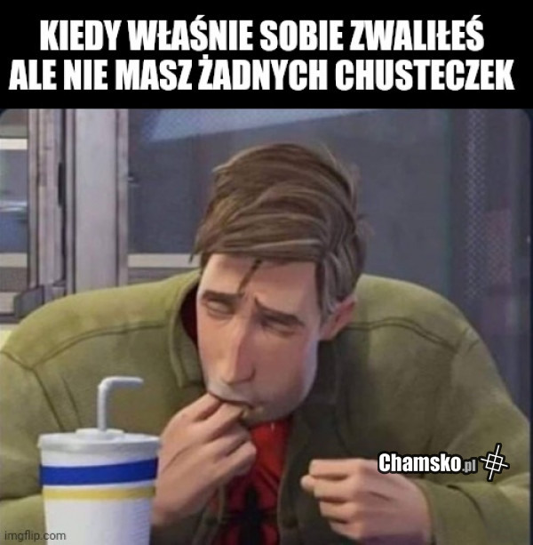 Po trzepańsku