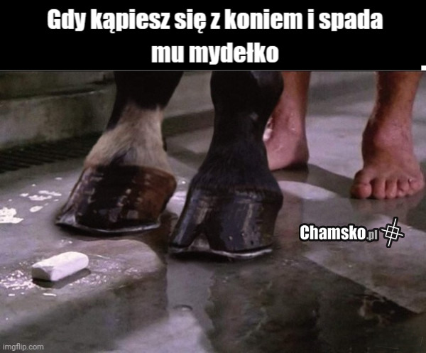 Wspólna kąpiel