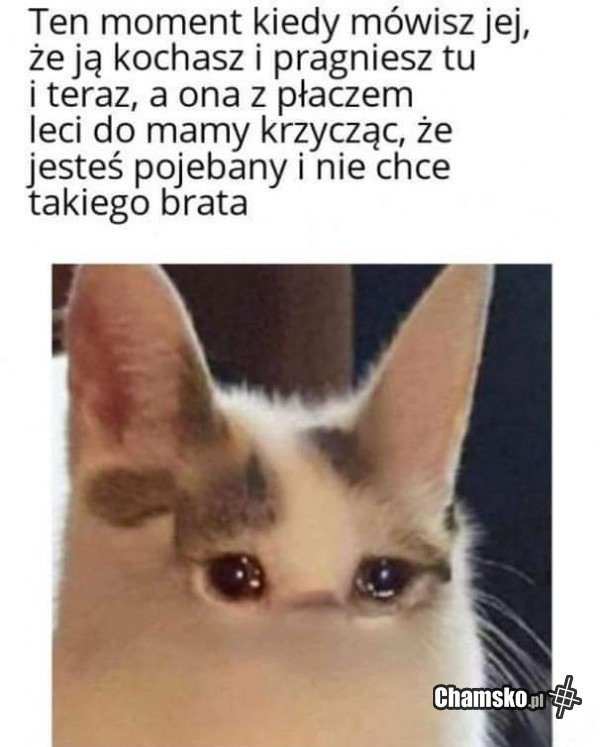 Wyznanie miłości