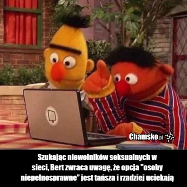 Ogłoszenia
