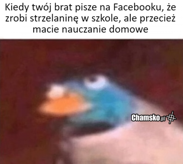 Post na fejsie
