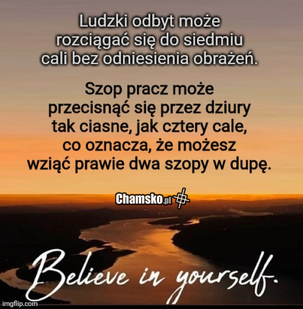 Ciekawostka