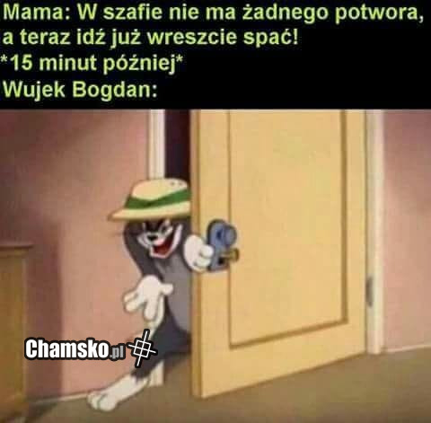 Potwór z szafy