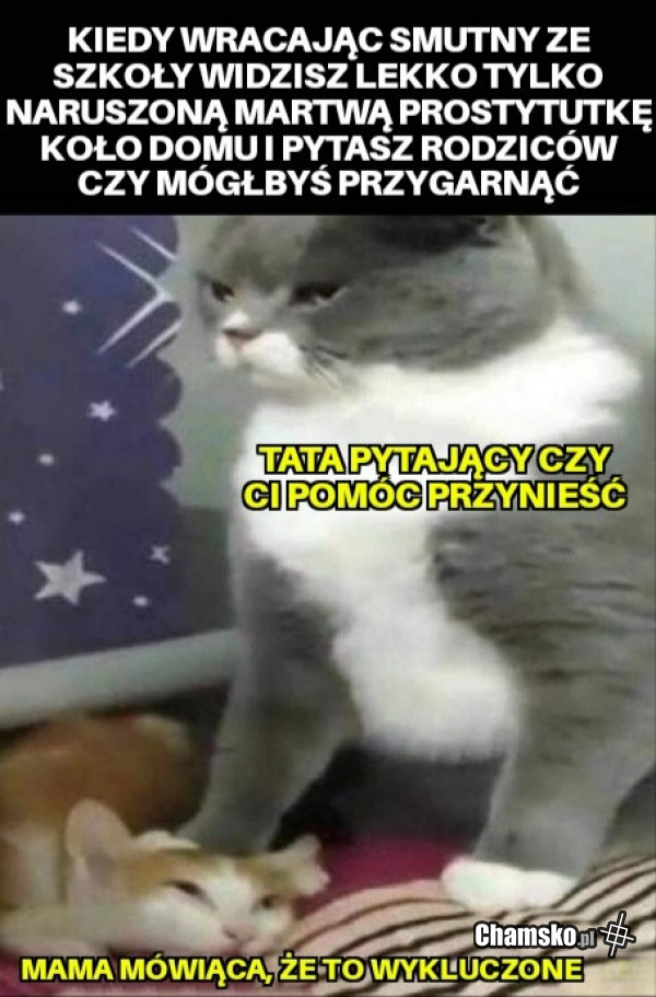 Tata znowu lepszy