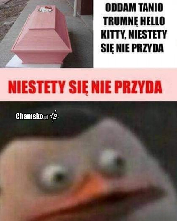 Niestety