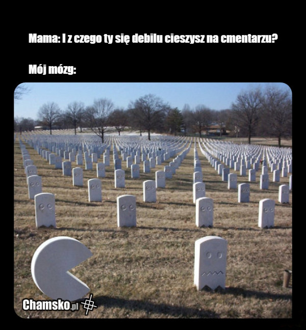 Na cmentarzu