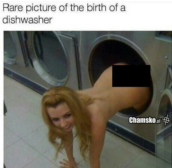 Narodziny zmywarki