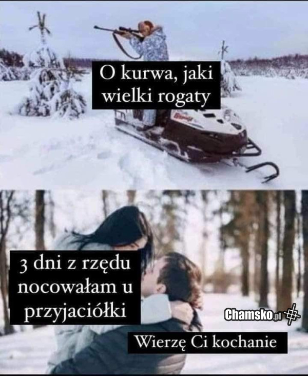 Ogromny jeleń