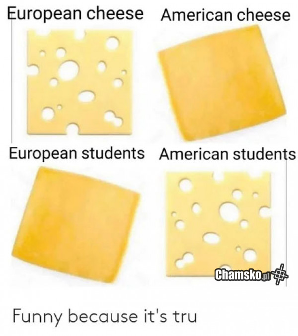 Ser i studenci