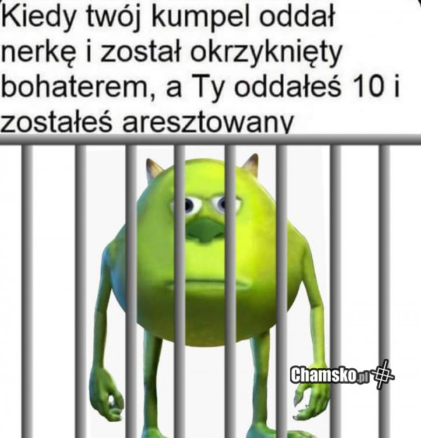 Bohater