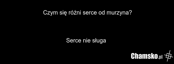 Czym się różni serce od murzyna? Serce nie sługa