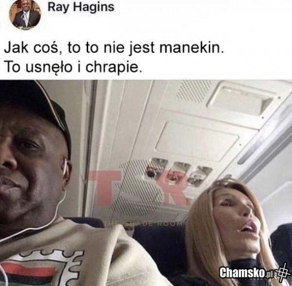 Manekin