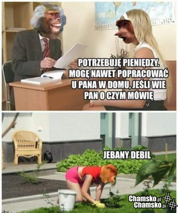 Praca
