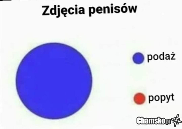 Zdjęcia