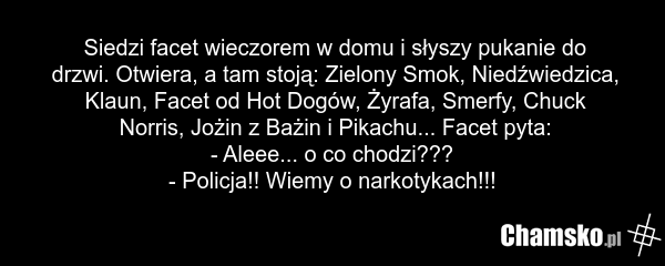 Siedzi facet wieczorem w domu i słyszy pukanie do drzwi. Otwiera, a tam stoją: Zielony Smok, Niedźwiedzica, Klaun, Facet od Hot Dogów, Żyrafa, Smerfy, Chuck Norris, Jożin z Bażin i Pikachu... Facet pyta: - Aleee... o co chodzi??? - Policja!! Wiemy o narkotykach!!!