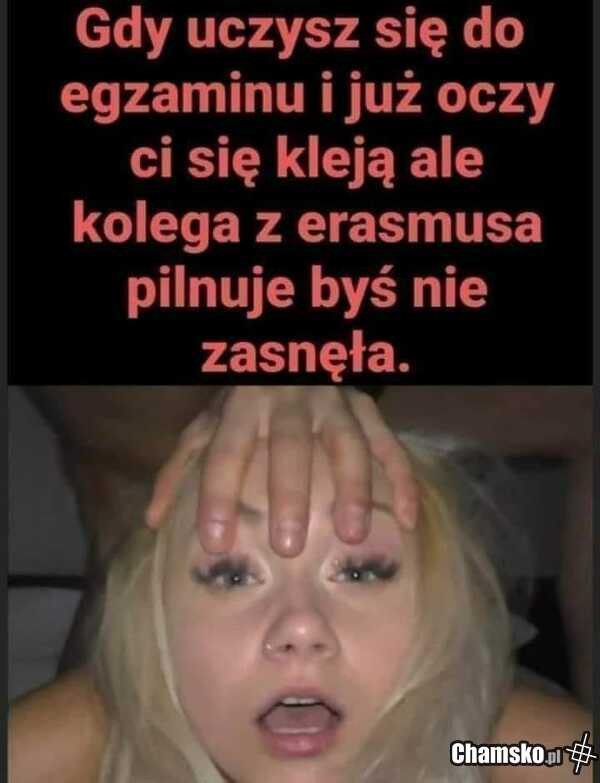 Egzamin