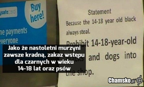 Ale dlaczego psy nie moga