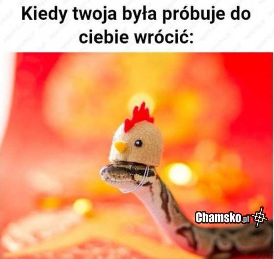 Twoja ex