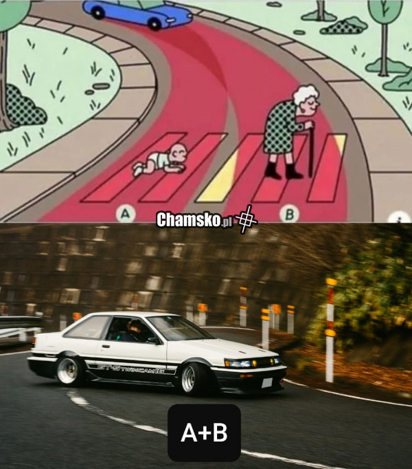 Co wybrać?