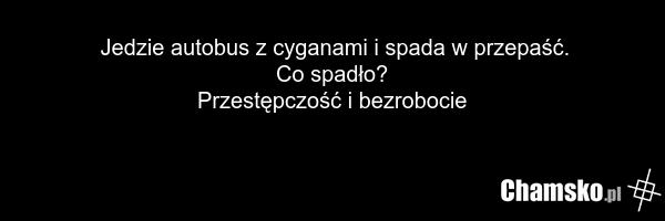 Jedzie autobus z cyganami i spada w przepaść. Co spadło? Przestępczość i bezrobocie