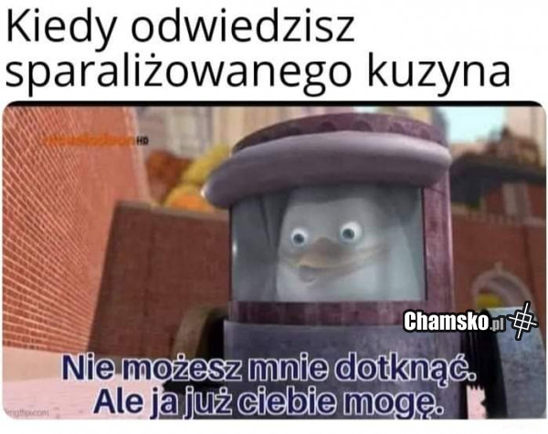 Dotyk