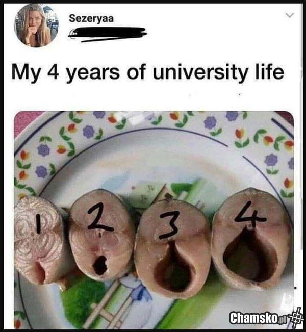 Życie na uniwerku