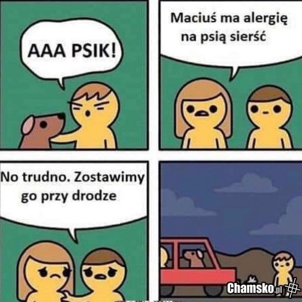 Alergia