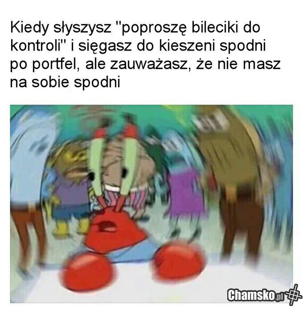 Bilety do kontroli