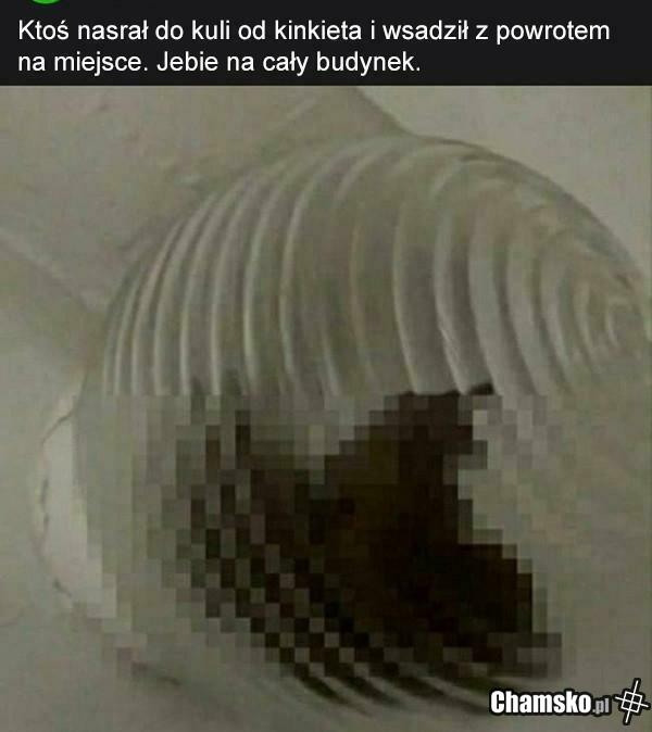 Niespodzianka