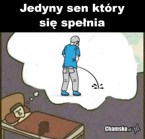 Jedyny sen który się spełnia