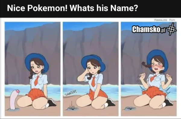 Co to za pokemon?