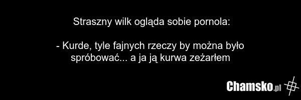 Straszny wilk ogląda sobie pornola: - Kurde, tyle fajnych rzeczy by można było spróbować... a ja ją kurwa zeżarłem