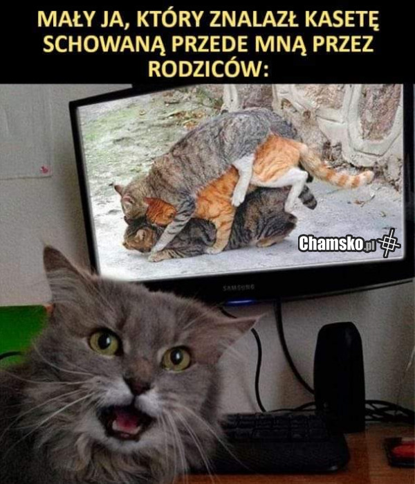 Sekretna kaseta