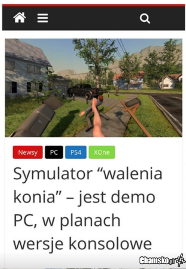 Symulator