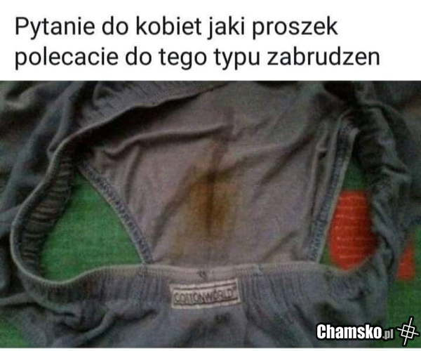 Co polecacie