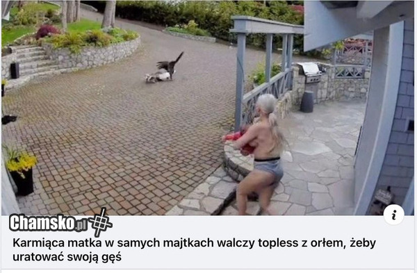 Niezłe combo