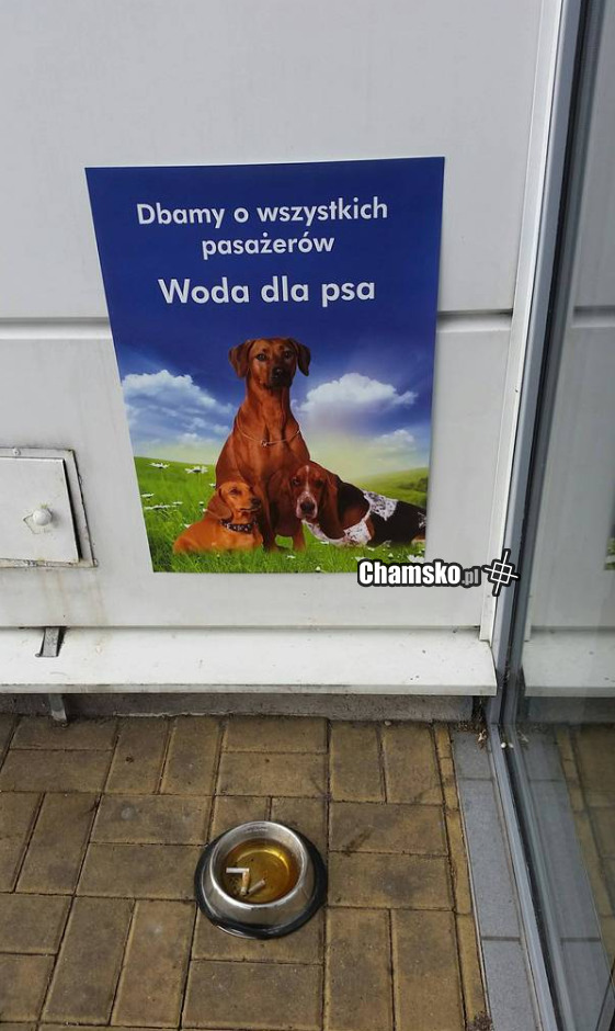 No to zadbali