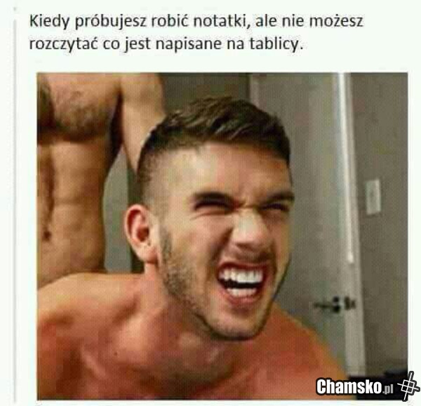 Notatki