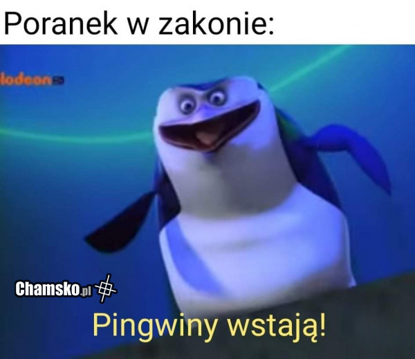 Poranek w zakonie