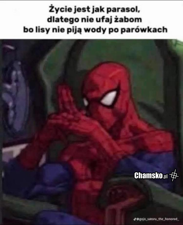 Nic mądrzejszego dziś nie przeczytacie