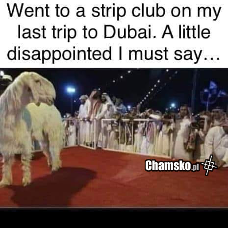 Strip club w Dubaju
