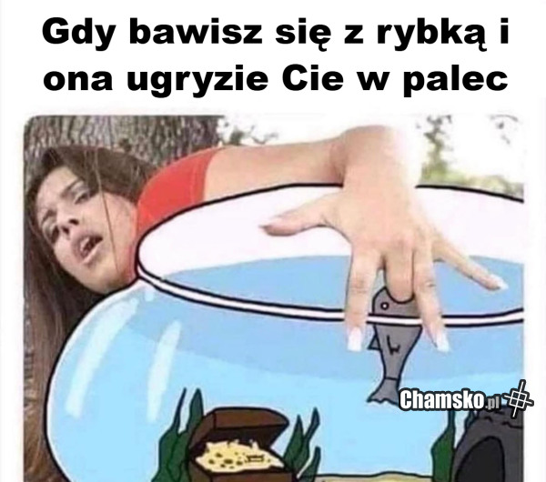 Rybka