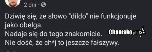Obelga