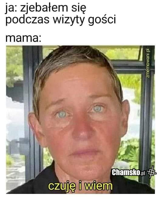 Czuję i wiem